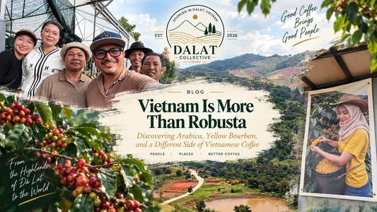 Beyond Robusta: Discovering Vietnam’s Other Coffee Story